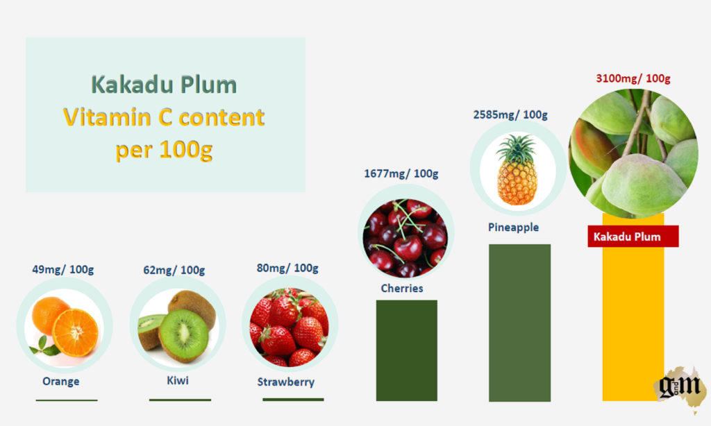 Kakadu Plum – The Phenomenal Skincare Ingredient