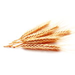 P'URE Papayacare Baby Vitamin E